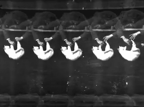 Etienne-Jules Marey