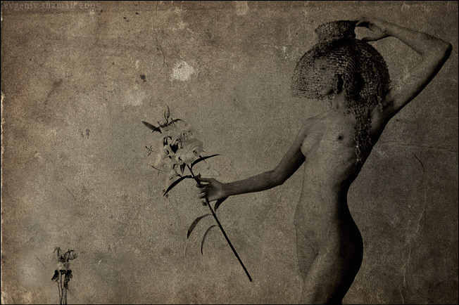 Evgeniy Shaman
