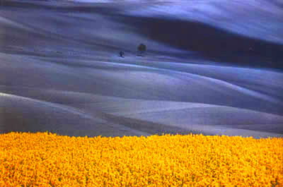 Franco Fontana