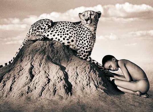 Gregory Colbert