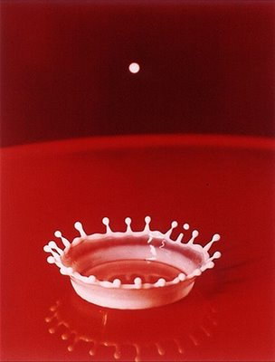 Harold Edgerton