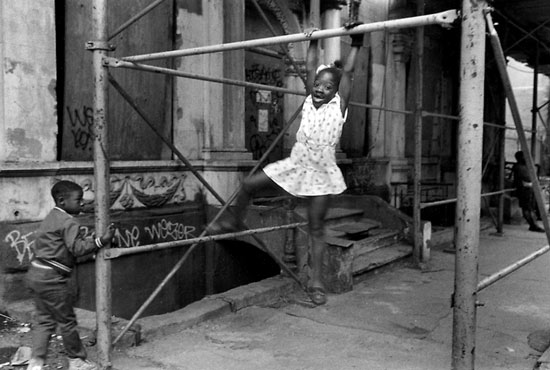 Harvey Stein
