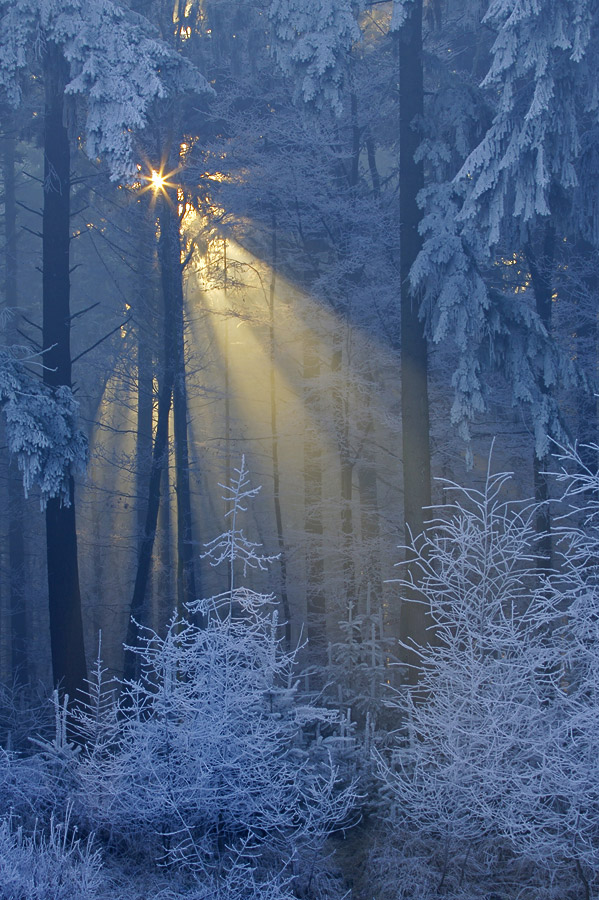 Heike Odermatt