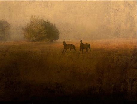 Jack Spencer
