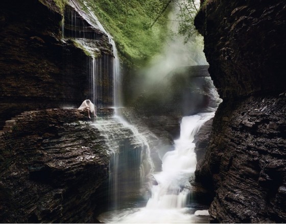 Jeff Bark