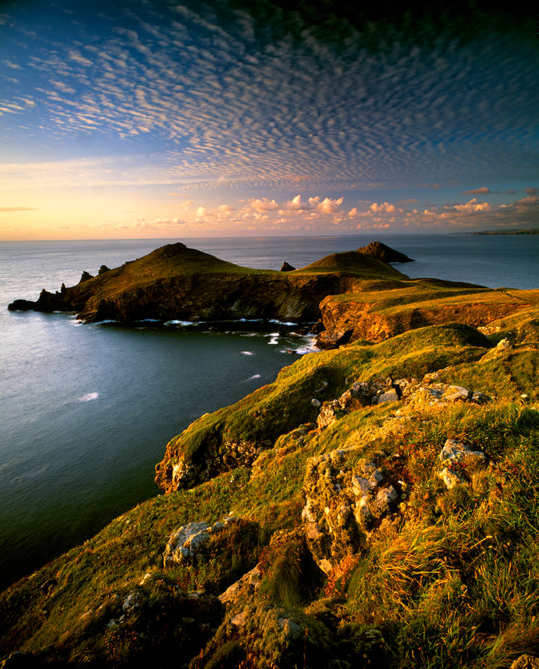 Joe Cornish
