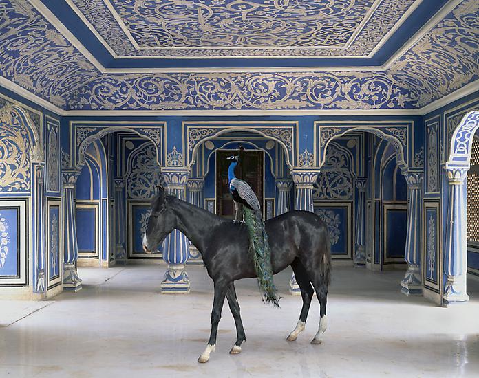 Karen Knorr