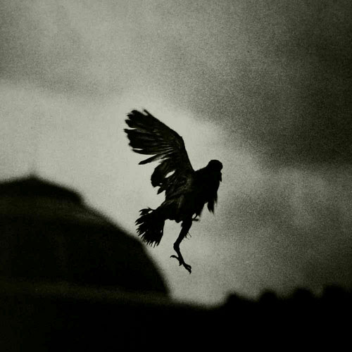Matt Mahurin