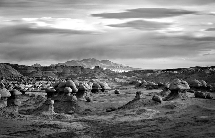 Mitch Dobrowner