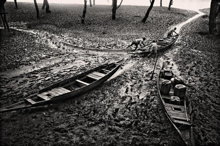 Munem Wasif