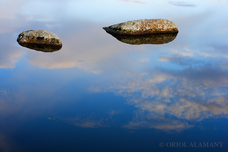 Oriol Alamany