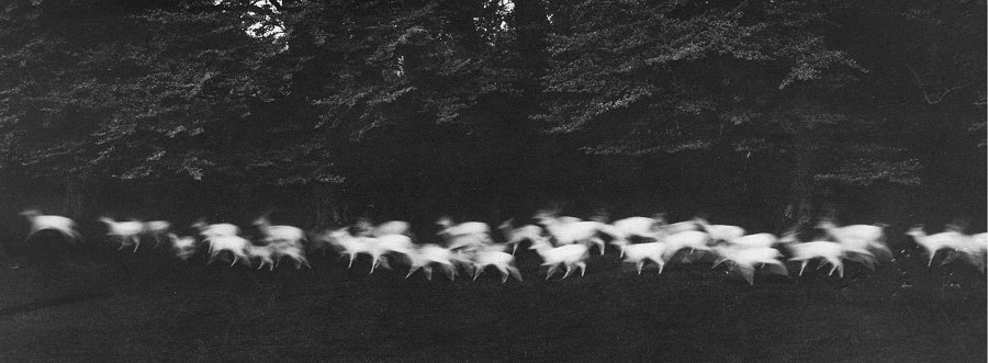 Paul Caponigro