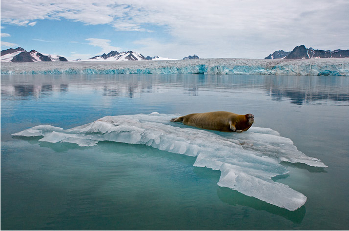 Paul Nicklen