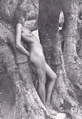 Pedro Olaya Ruano