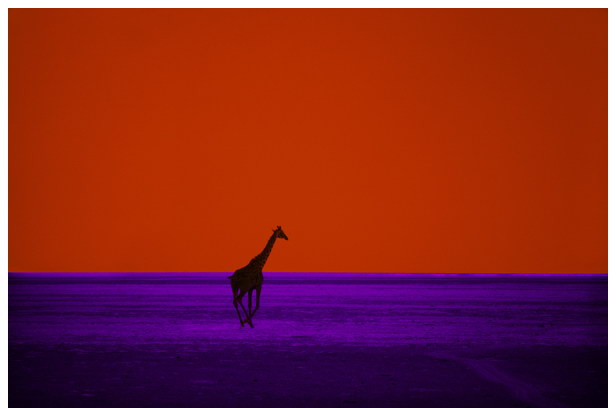 Pete Turner
