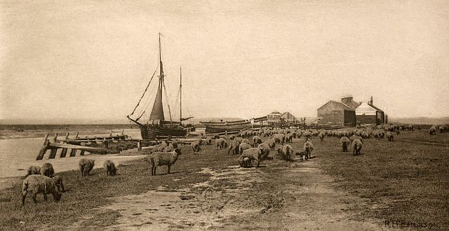 Peter Henry Emerson