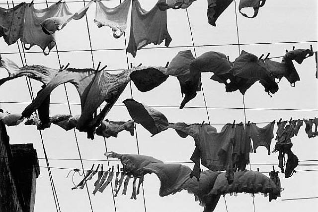 Ray K. Metzker