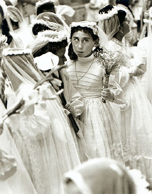 Ricard Terré