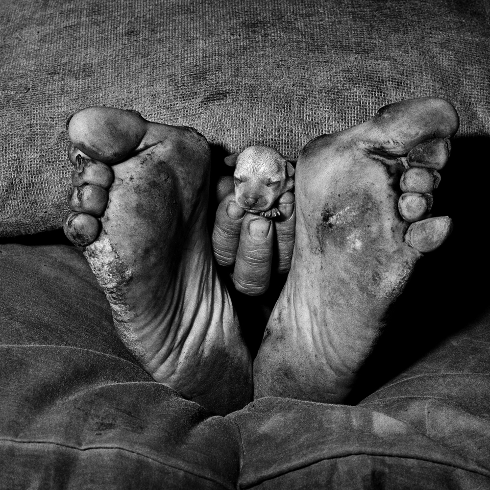 Roger Ballen