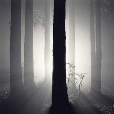 Rolfe Horn