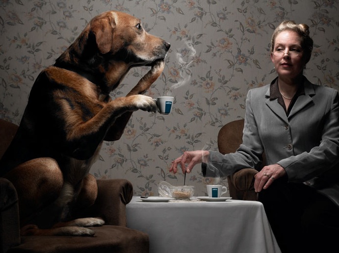Romain Laurent