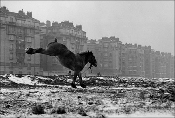 Sabine Weiss