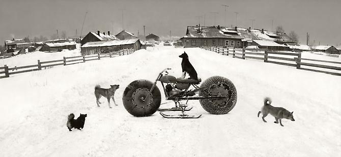 Pentti Sammallahti