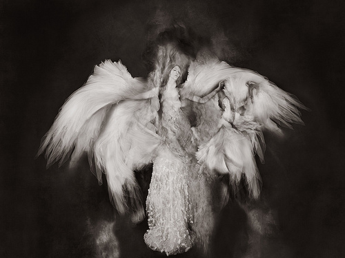 Thomas Devaux