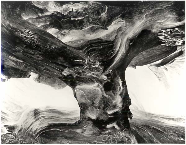 Wynn Bullock
