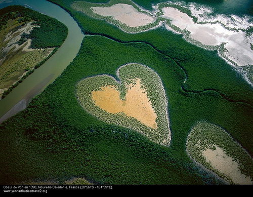 Yann Arthus Bertrand