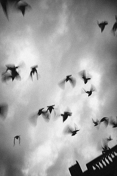 Jon Gorospe