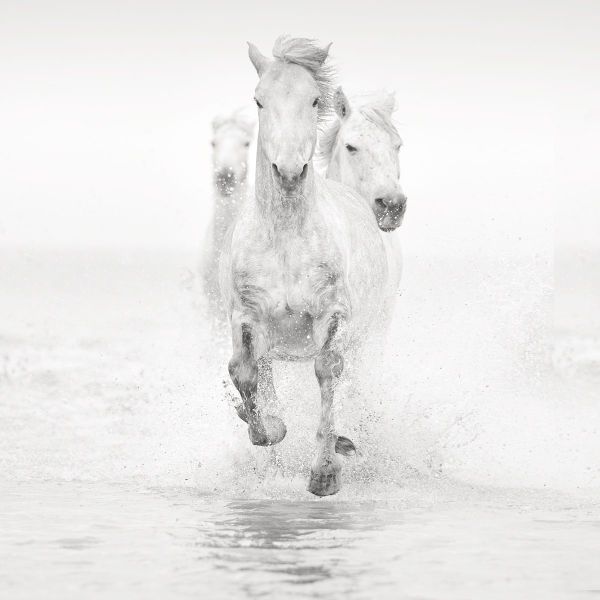 Jonathan Chritchley