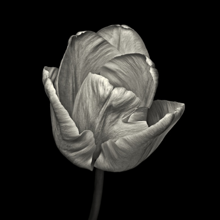 Paul Coghlin