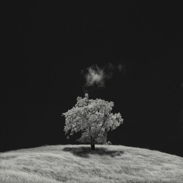 Nathan Wirth