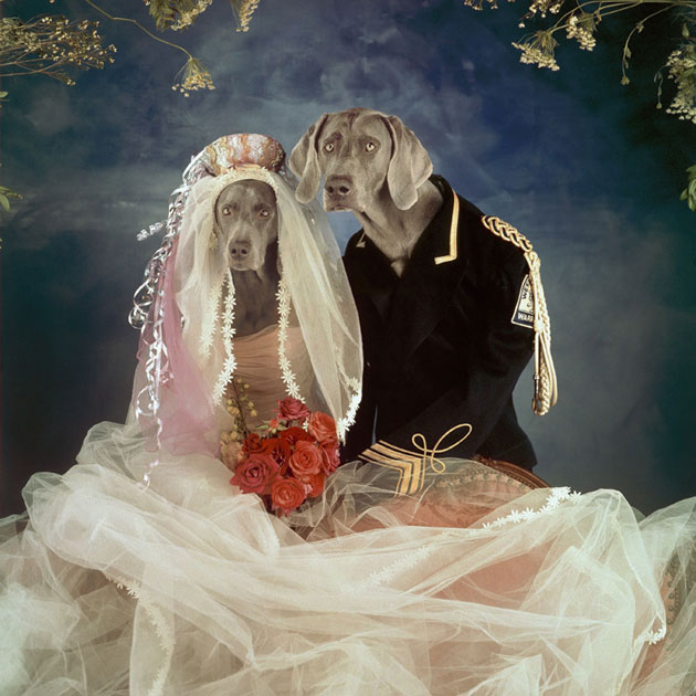 William Wegman