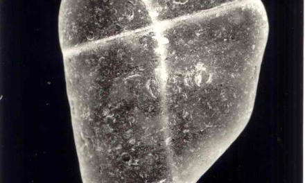 Aleydis Rispa