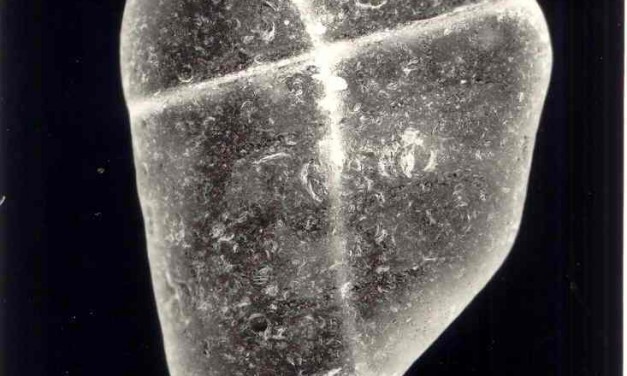 Aleydis Rispa