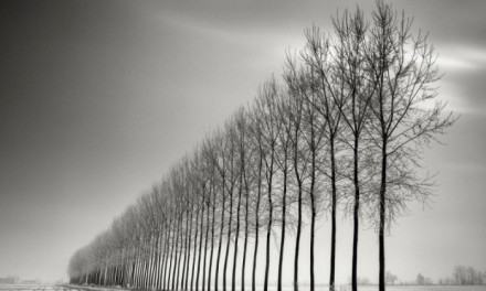 Pierre Pellegrini