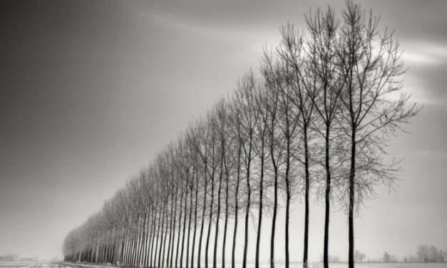 Pierre Pellegrini