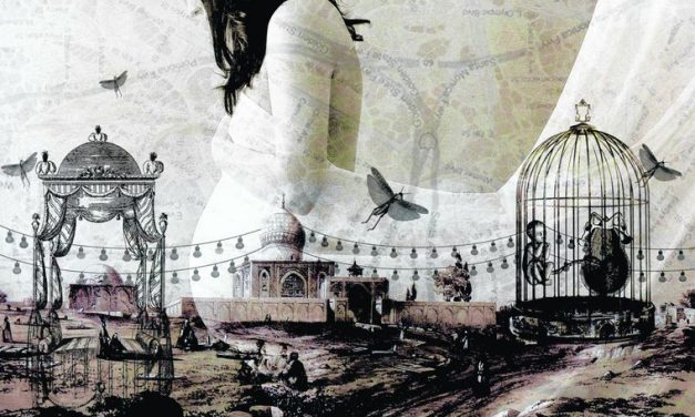 Marwa Adel