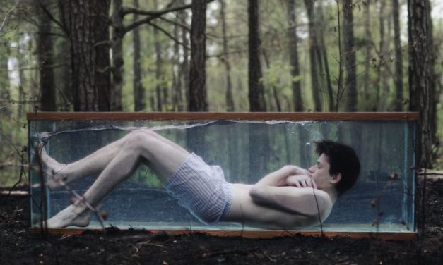 Alex Stoddard