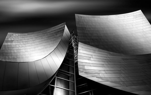Tony DeSantis