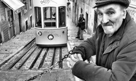 Rui Palha