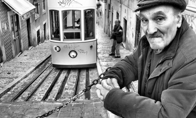Rui Palha