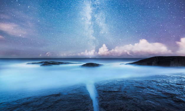 Mikko Lagerstedt