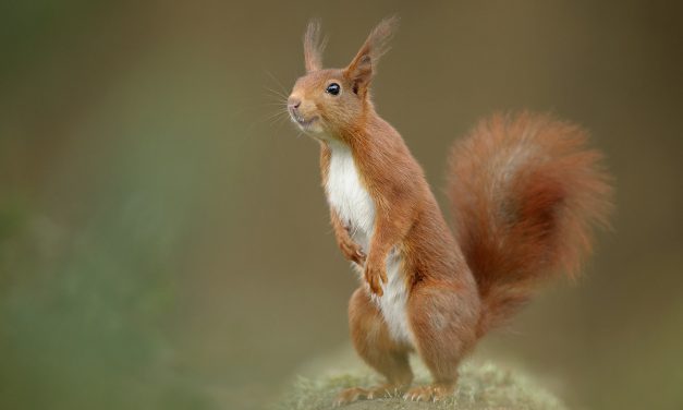 Edwin Kats