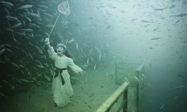 Andreas Franke