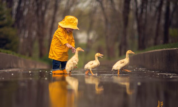 Jake Olson