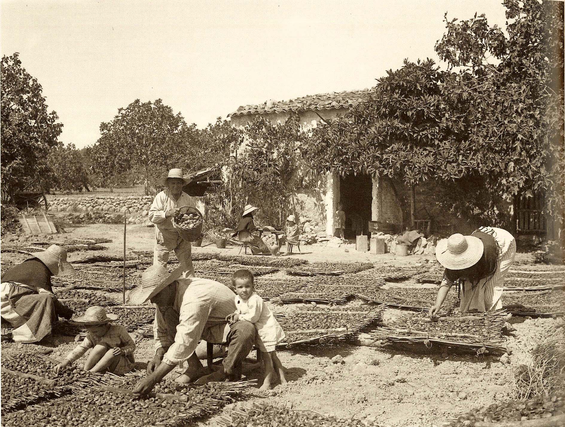 Josep Pons Frau