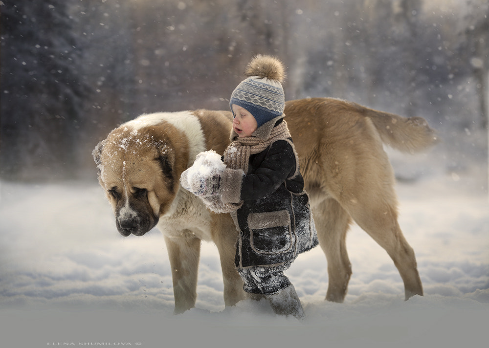 Elena Shumilova